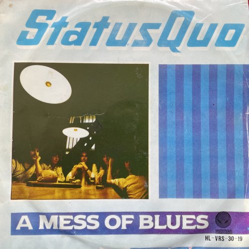 A MESS OF BLUES Picture Sleeve Front