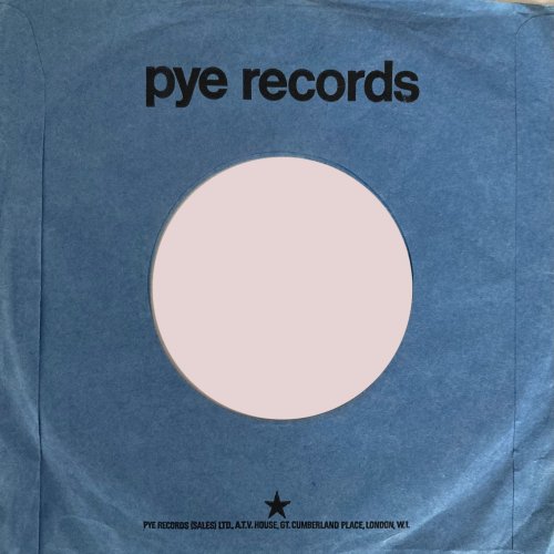 DOWN THE DUSTPIPE Company Sleeve Rear