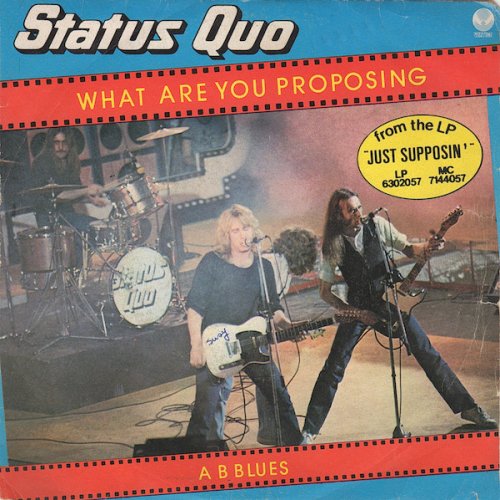 WHAT YOU'RE PROPOSING Picture Sleeve Front