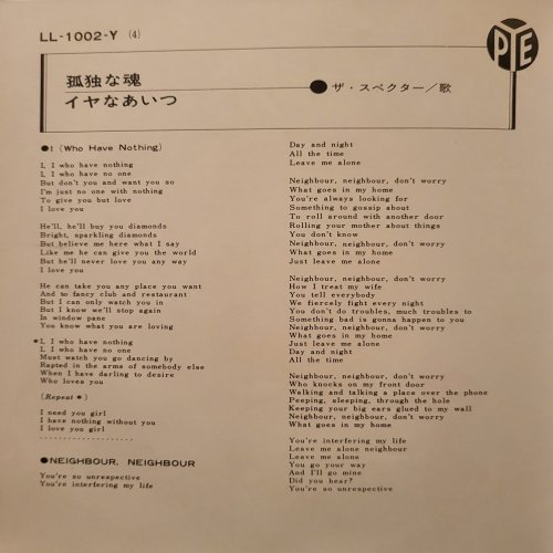 I (WHO HAVE NOTHING) Picture Sleeve Inner