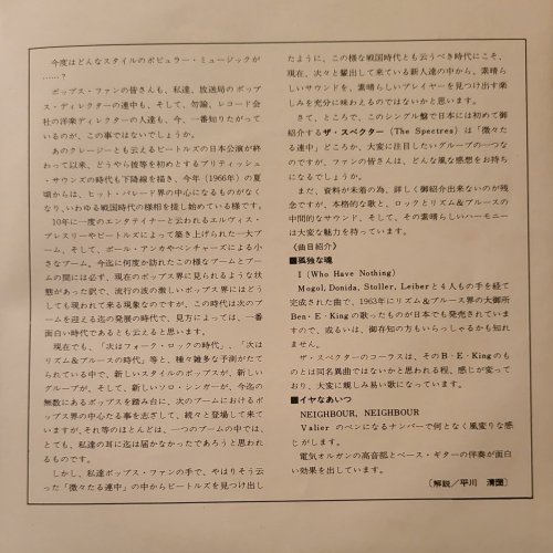 I (WHO HAVE NOTHING) Picture Sleeve Inner