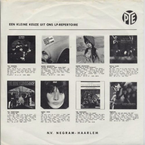 I (WHO HAVE NOTHING) Sleeve Rear