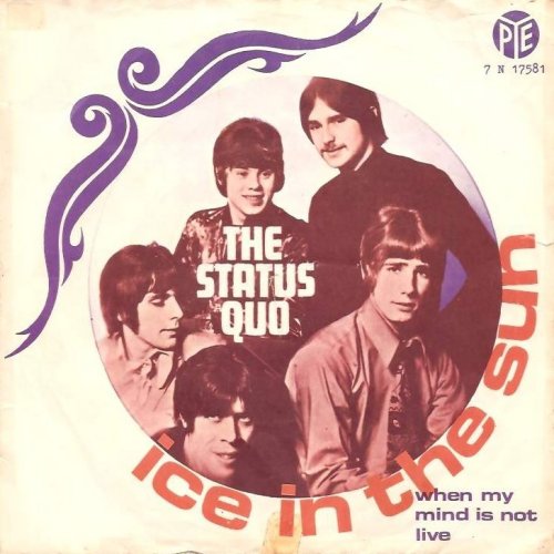 ICE IN THE SUN Sleeve Front