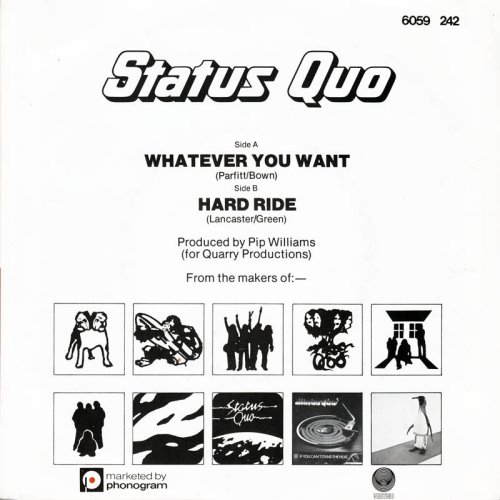 WHATEVER YOU WANT Sleeve Rear