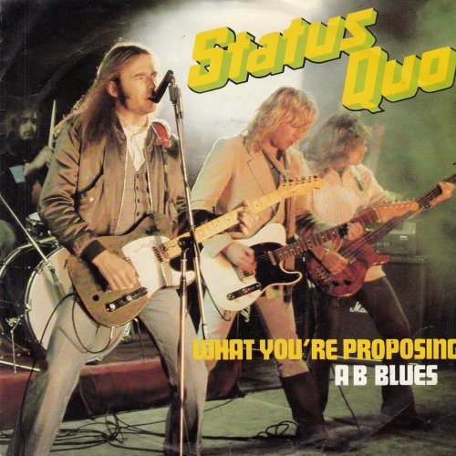 WHAT YOU'RE PROPOSING Sleeve Front