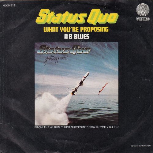 WHAT YOU'RE PROPOSING Sleeve Rear