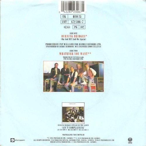 BURNING BRIDGES Sleeve Rear