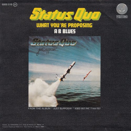 WHAT YOU'RE PROPOSING Picture Sleeve Rear