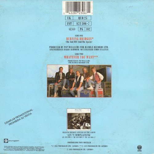 BURNING BRIDGES (1991 PROMO) Picture Sleeve Rear