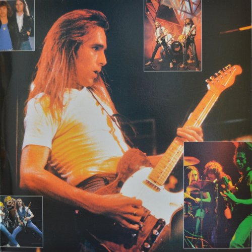 THE COLLECTION Standard Gatefold Sleeve Inner