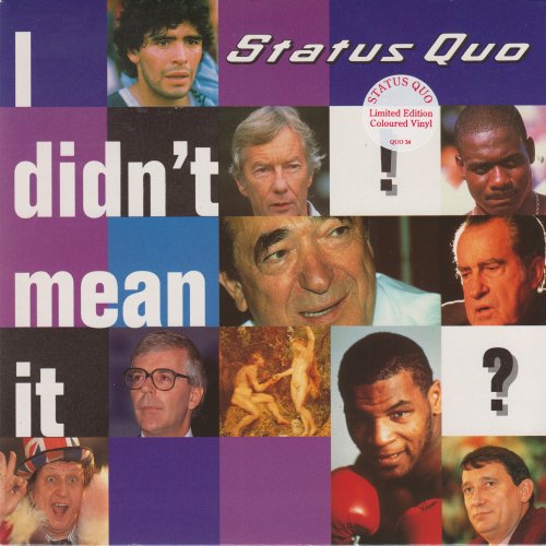 I DIDN'T MEAN IT Standard Picture Sleeve Front