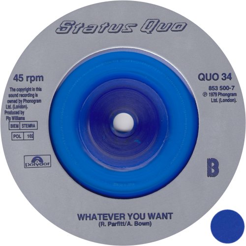 I DIDN'T MEAN IT Ltd Edition Blue Translucent Vinyl Side B