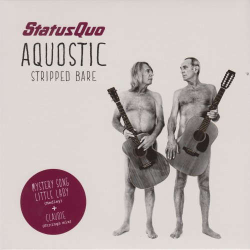 MYSTERY SONG / LITTLE LADY (MEDLEY) Standard Picture Sleeve Front