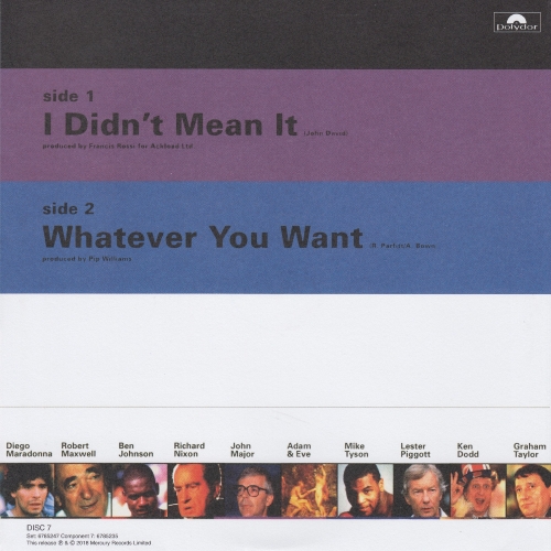 THE VINYL SINGLES COLLECTION 1990-1999 Sleeve 7: I Didn't Mean It Rear