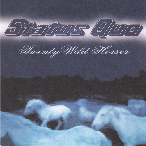THE VINYL SINGLES COLLECTION 1990-1999 Sleeve 16: Twenty Wild Horses Front