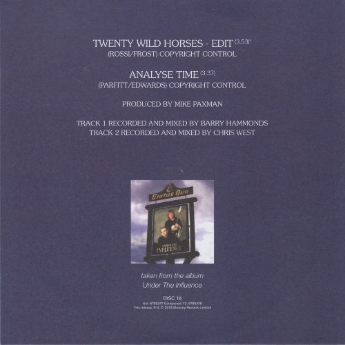 THE VINYL SINGLES COLLECTION 1990-1999 Sleeve 16: Twenty Wild Horses Rear