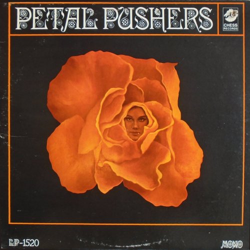 PETAL PUSHERS Standard Sleeve - Mono Front