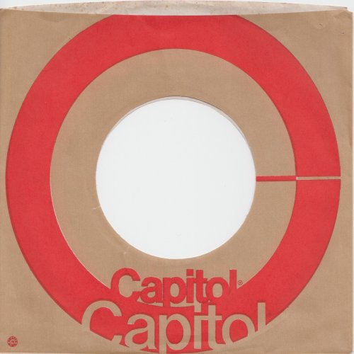 DOWN DOWN Capitol Company Sleeve Rear